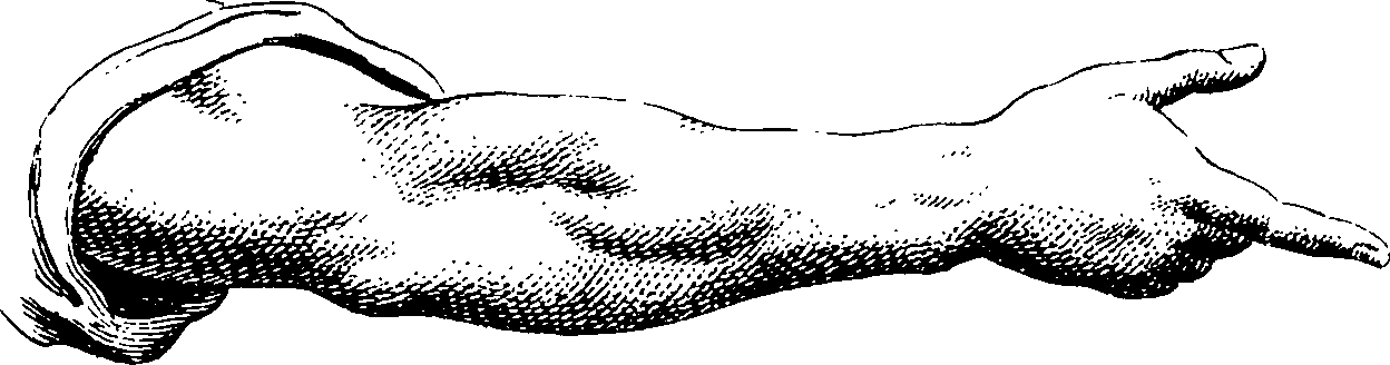 103/103890080000380_0.png