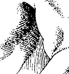103/103890080000390_0.png