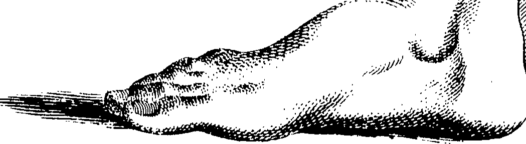 103/103890080000410_0.png