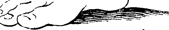 103/103890080000420_0.png