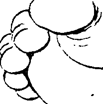 103/103890080000420_1.png