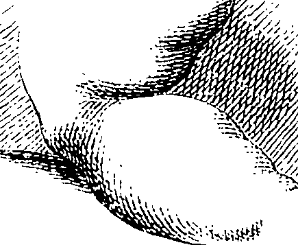 103/103890080000450_0.png