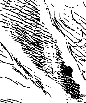 103/103890080000550_1.png
