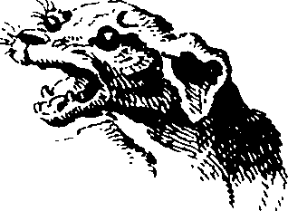 103/103890080000670_1.png