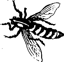 103/103890080000710_0.png