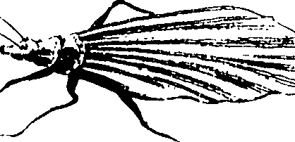 103/103890080000720_0.png