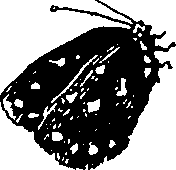 103/103890080000720_1.png