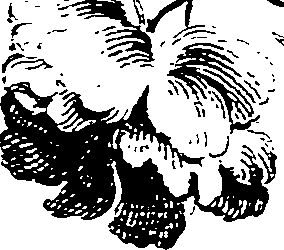 103/103890080000730_0.png
