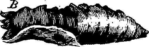 103/103910030000580_0.png