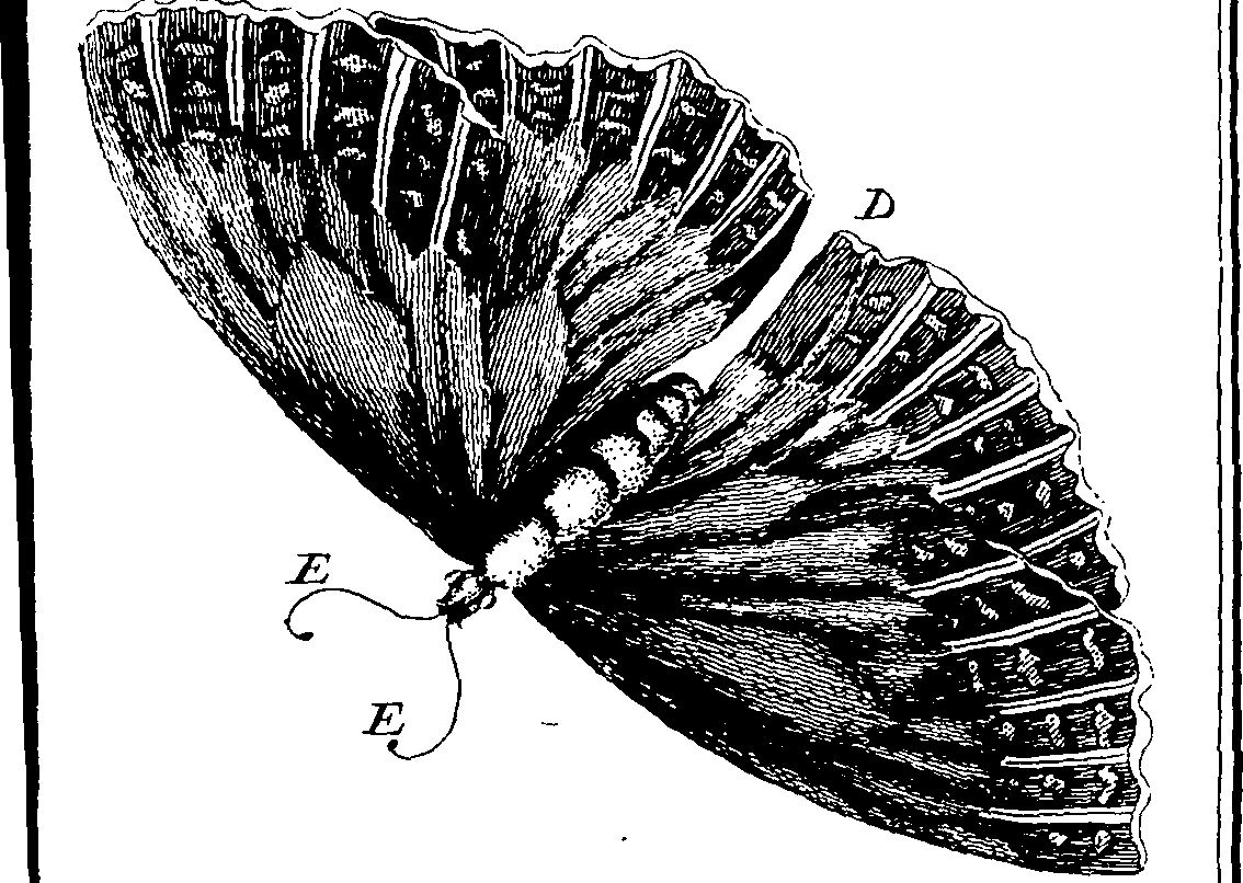 103/103910030000590_0.png