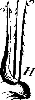 103/103910030001860_0.png