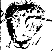 103/103910030001860_1.png