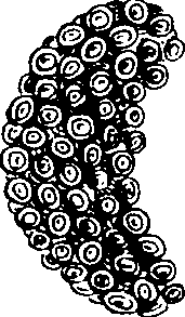 103/103910030002410_0.png