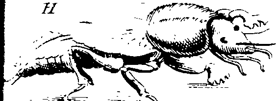 103/103910030002410_1.png