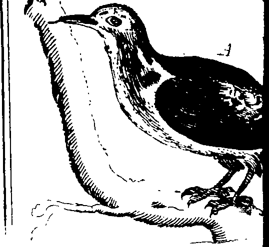103/103910030003560_1.png