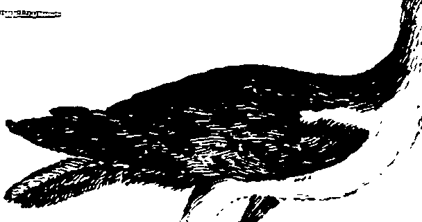 103/103910030003570_1.png