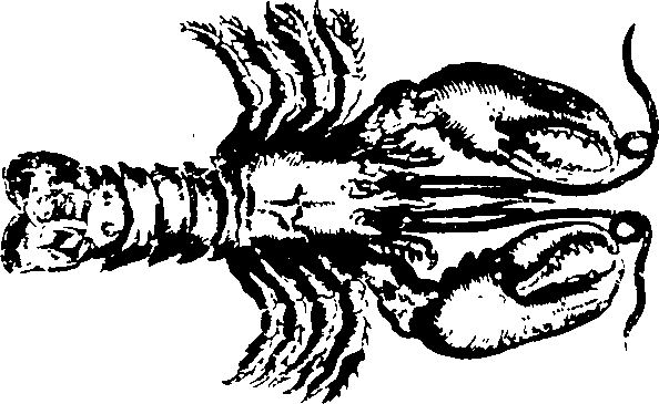 103/103910030004510_0.png