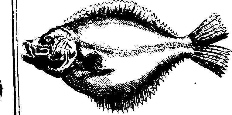 103/103910030004510_1.png