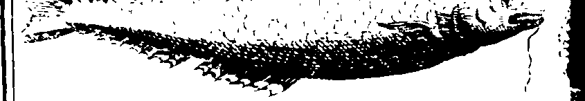 103/103910030004510_2.png