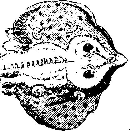 103/103910030004520_0.png