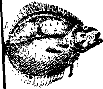 103/103910030004520_1.png