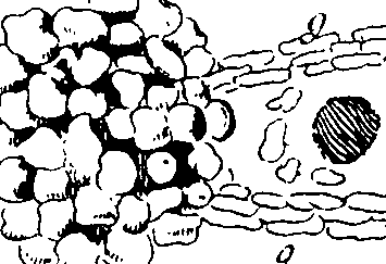 103/103910030005020_0.png