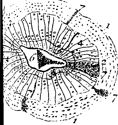 103/103910030005030_0.png