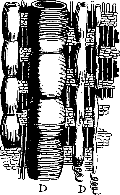 103/103910030005030_1.png
