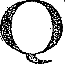 103/103920020000030_0.png