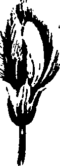 103/103930030106250_0.png