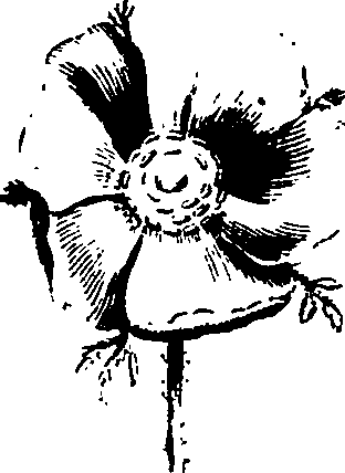 103/103930030106250_1.png