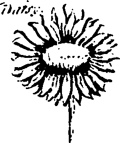 103/103930030106250_2.png