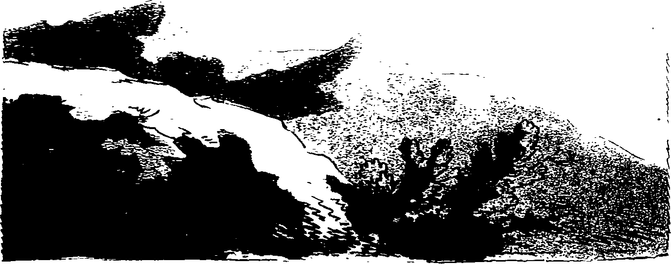 104/104010010201770_0.png