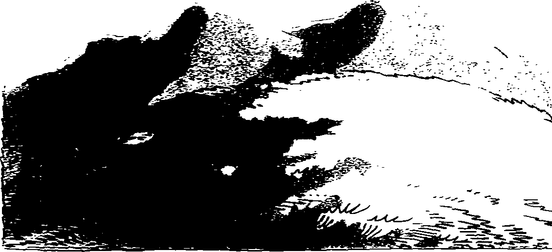 104/104010010201770_1.png