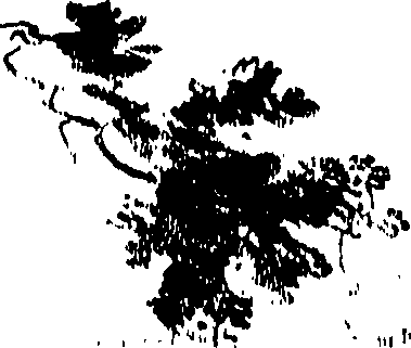 104/104010010202670_0.png
