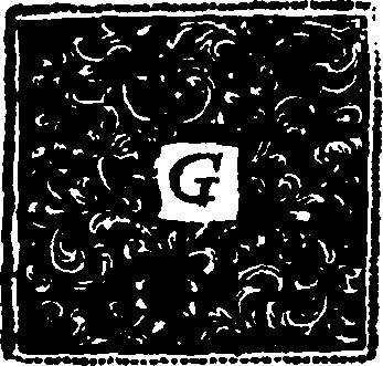 104/104140080000020_0.png