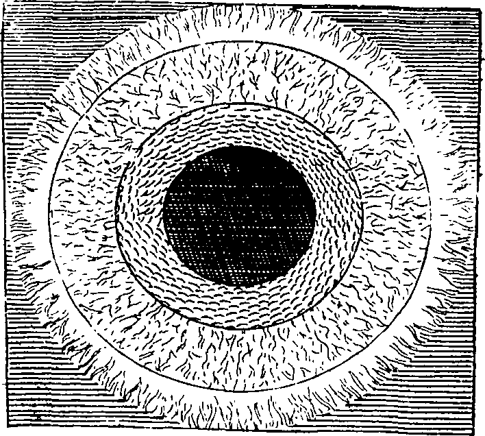 104/104390010002650_0.png