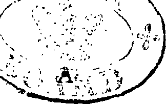 104/104410050000060_0.png