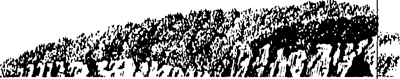 104/104410050000670_2.png