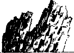 104/104410050000670_3.png