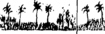 104/104410050001040_0.png
