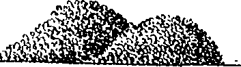 104/104410050001790_0.png