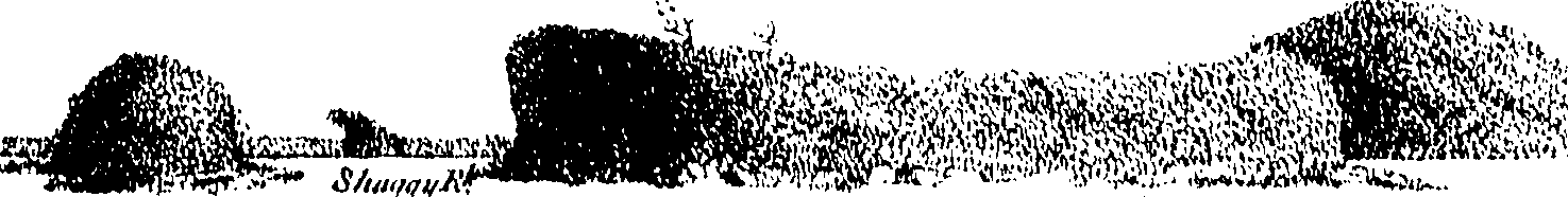 104/104410050001820_0.png