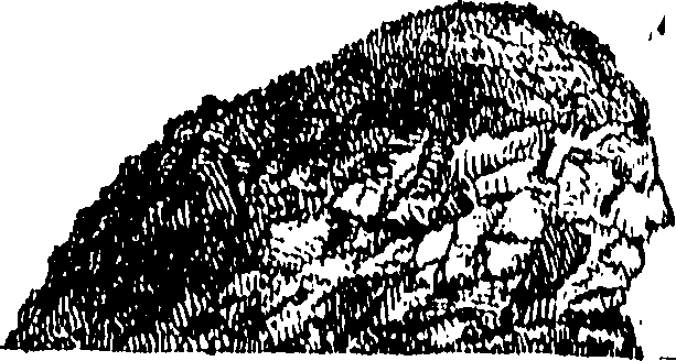 104/104410050001840_0.png