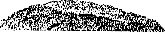 104/104410050001860_1.png