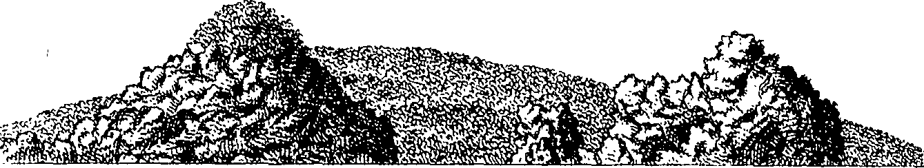 104/104410050001870_3.png