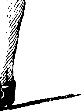 104/104420020000810_0.png