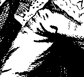 104/104420020000810_1.png