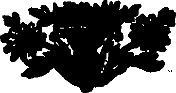 104/104440060000010_1.png