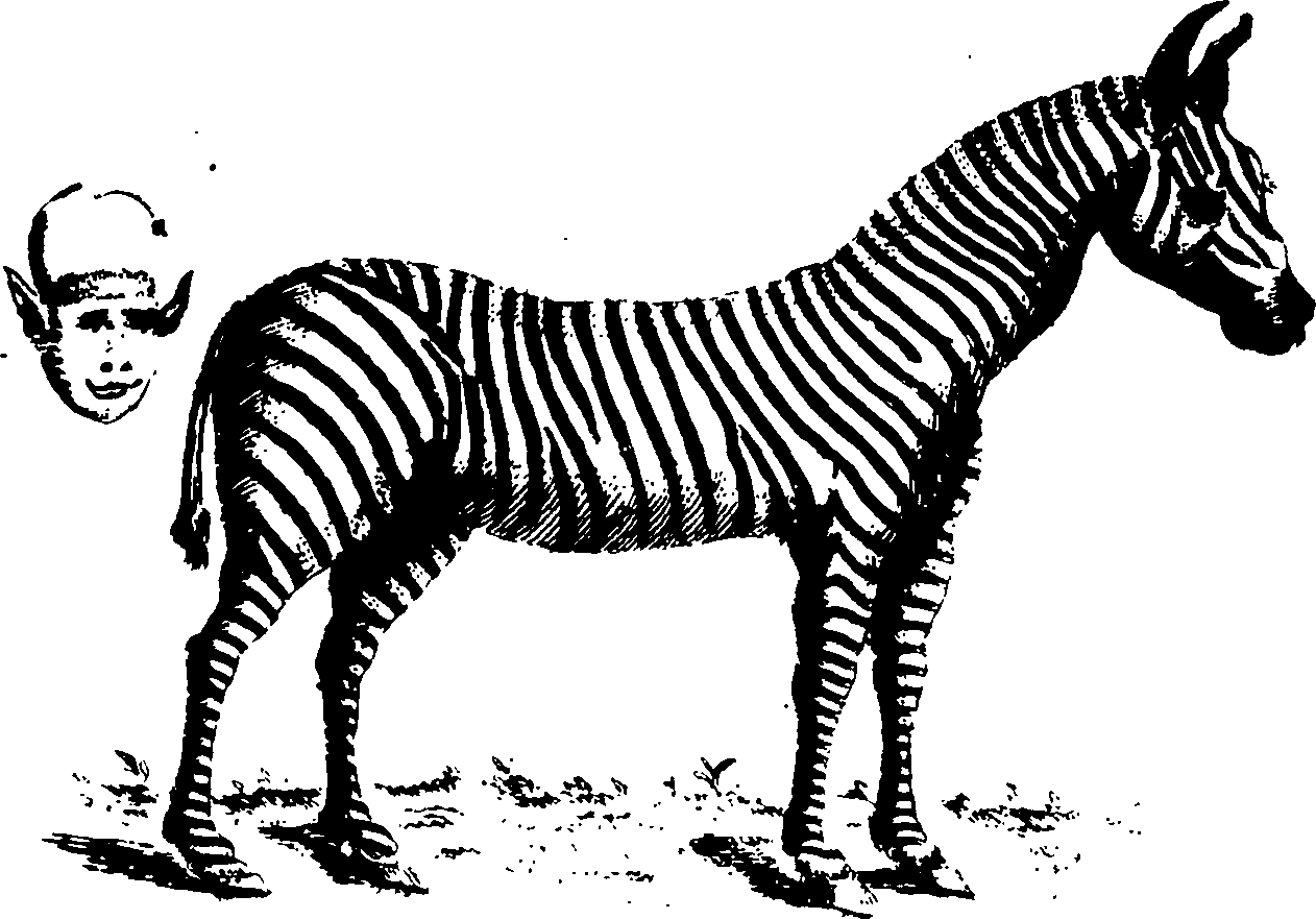 104/104450440000010_0.png
